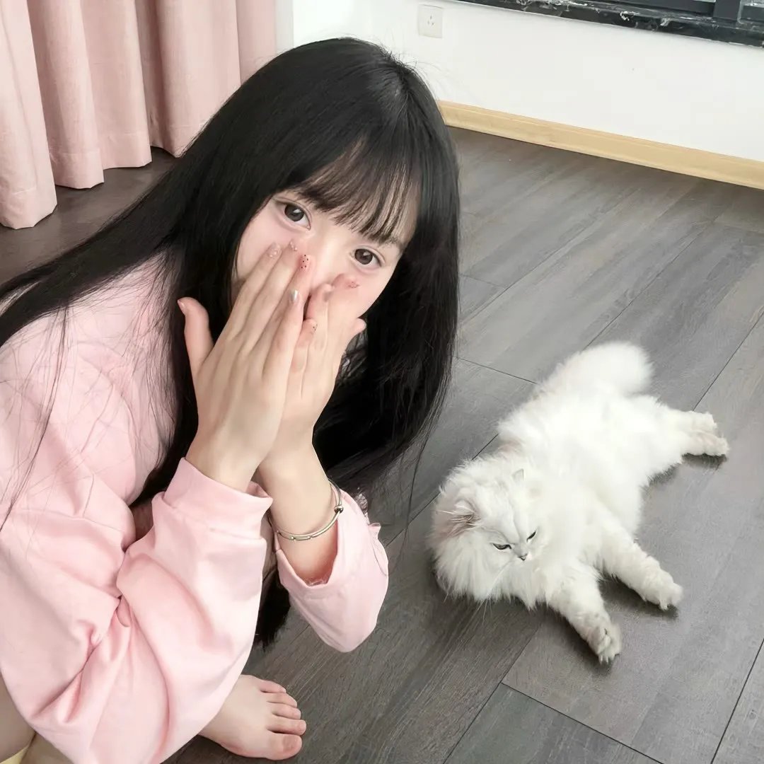 生命骑士